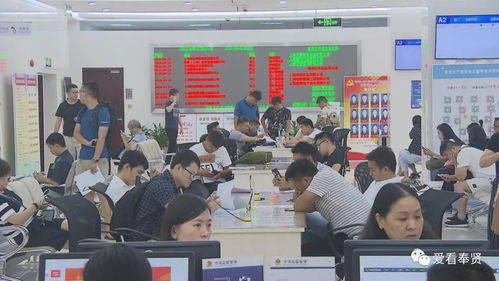 改革开放40周年丨一流的营商环境 助力奉贤成为投资热土 投资咨询服务