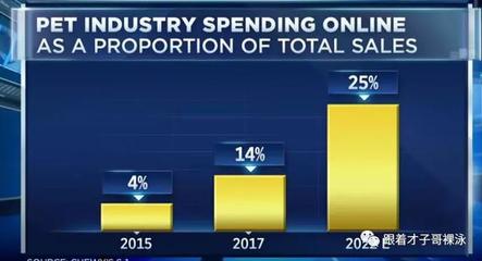 互联网宠物商品销售 下一个电商风口？